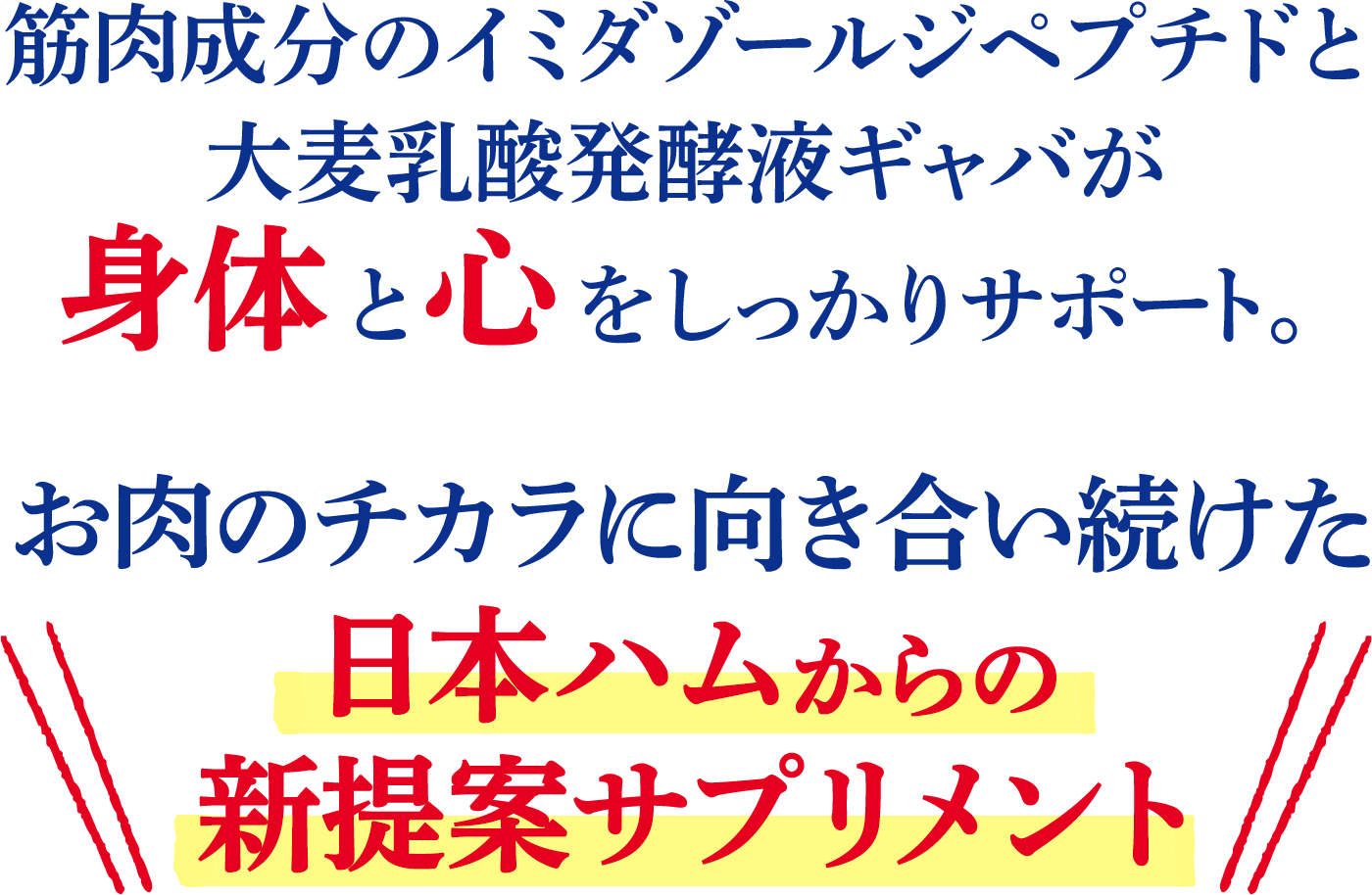 IMIDEAエナジーメンテキャッチコピー